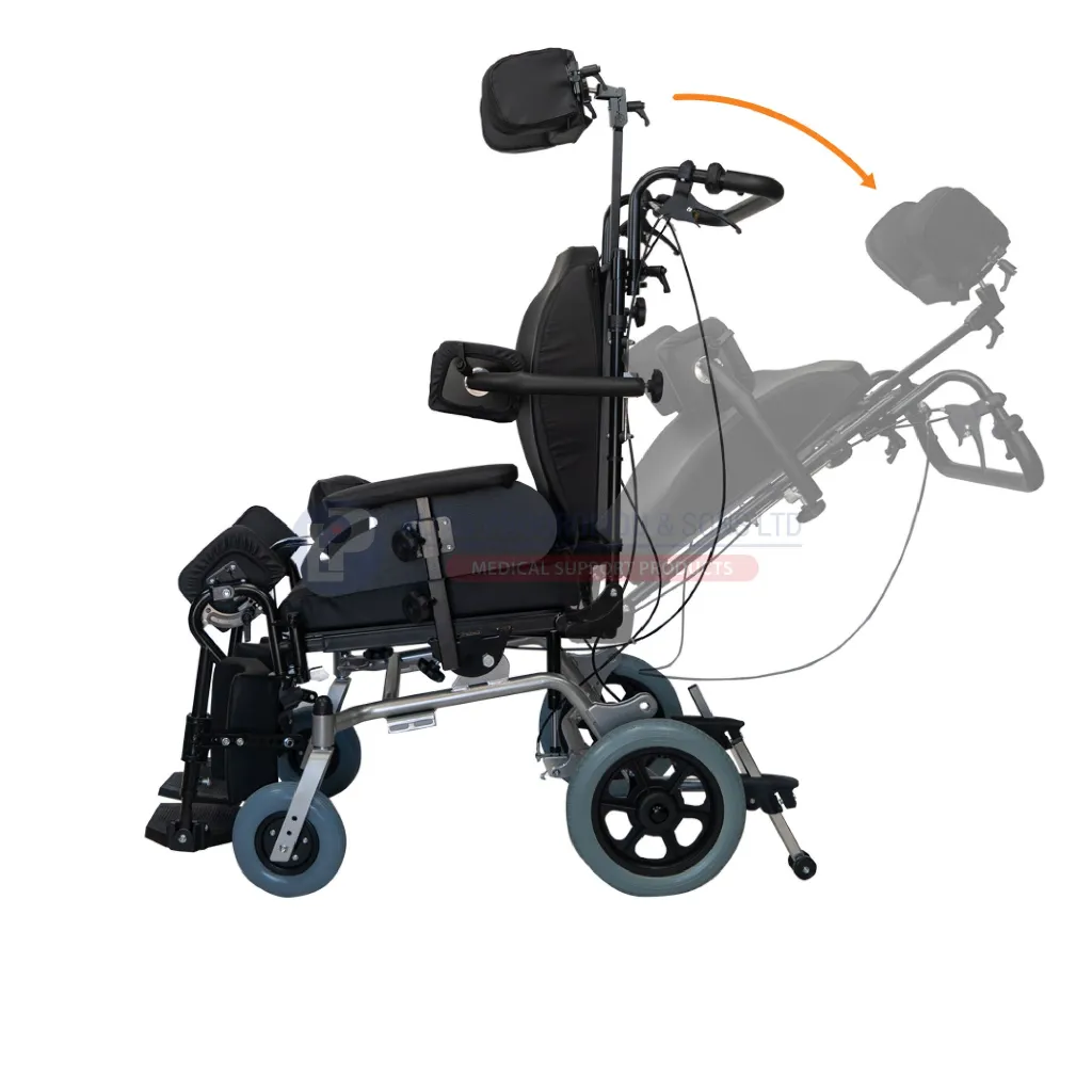 Asset 362 - Copy.webp