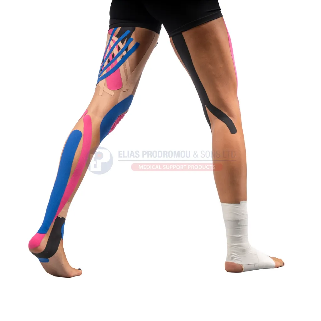 Asset 411.webp
