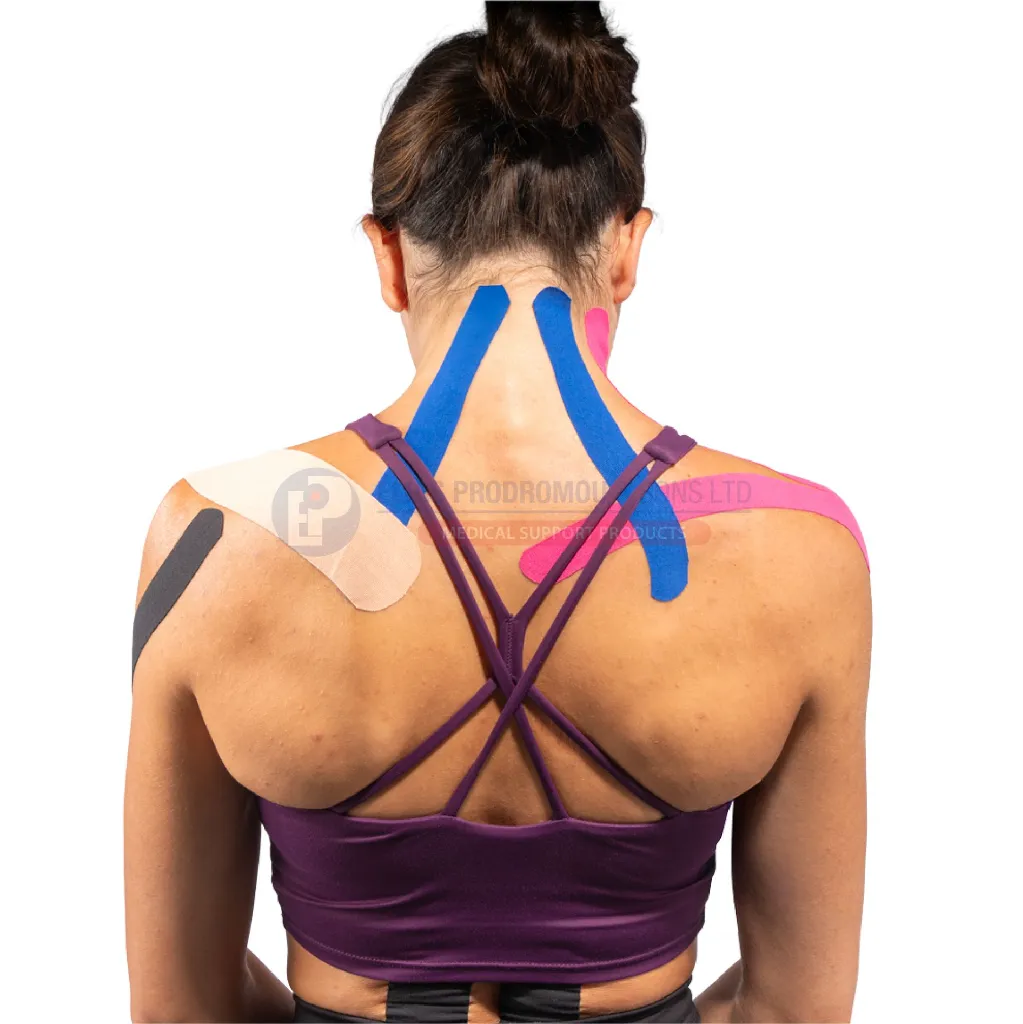 Asset 417.webp