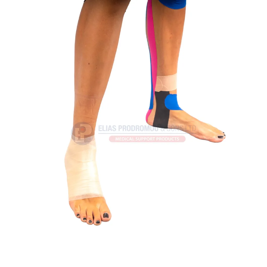 Asset 414.webp