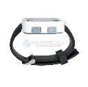 Asset 440.webp