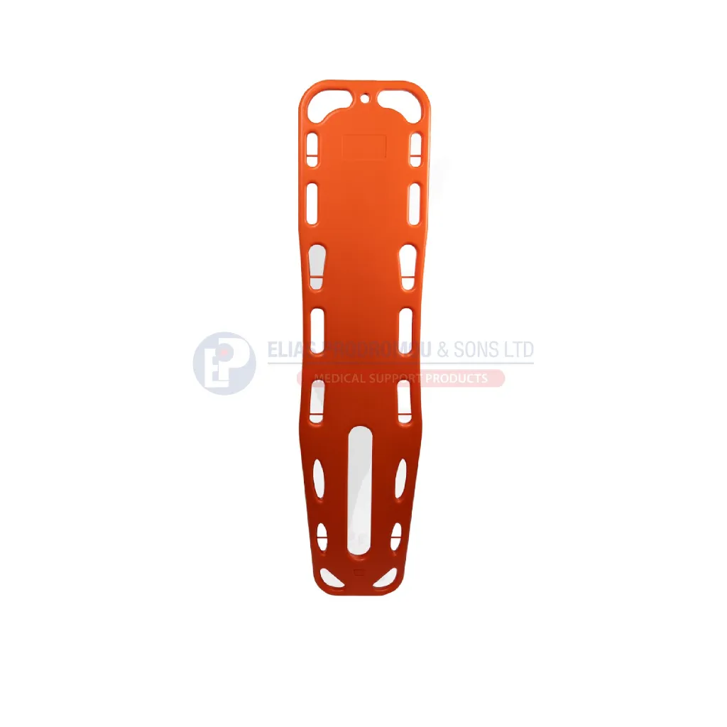 Asset 506.webp