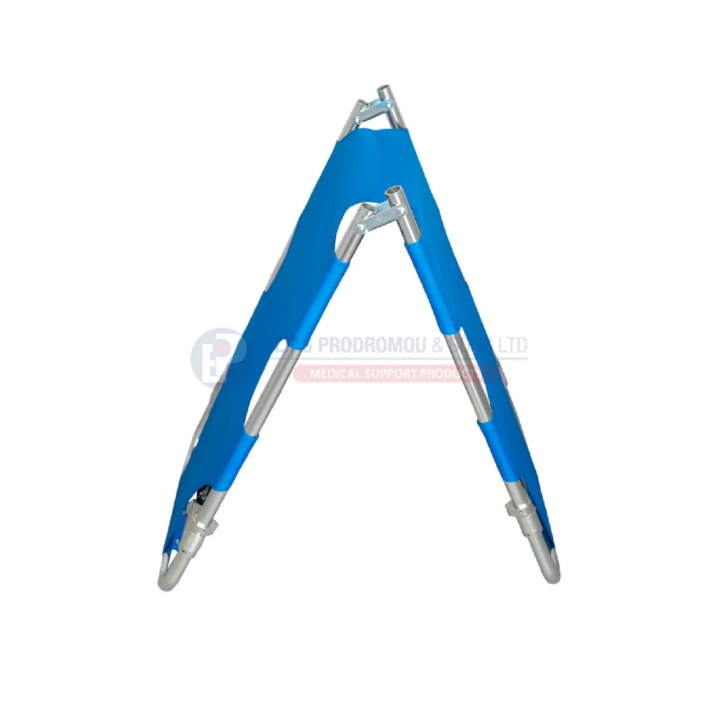 Asset 514.webp